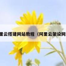 阿里云搭建网站教程（阿里云架设网站）