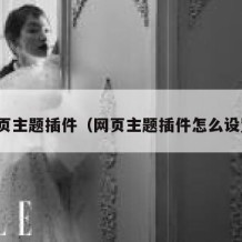 网页主题插件（网页主题插件怎么设置）