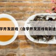 自学开发游戏（自学开发游戏有前途吗）
