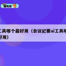 ai工具哪个最好用（会议纪要ai工具哪个最好用）