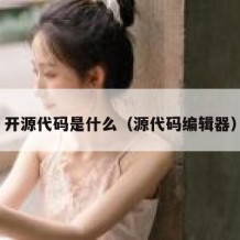 开源代码是什么（源代码编辑器）