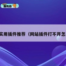 网站实用插件推荐（网站插件打不开怎么办）