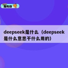 deepseek是什么（deepseek是什么意思干什么用的）