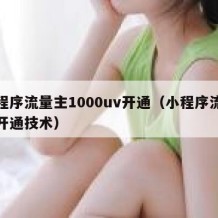 小程序流量主1000uv开通（小程序流量主开通技术）