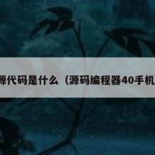 开源代码是什么（源码编程器40手机版）