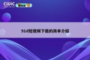 91d短视频下载的简单介绍