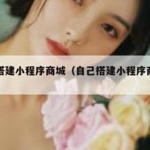 自己搭建小程序商城（自己搭建小程序商城可以吗）