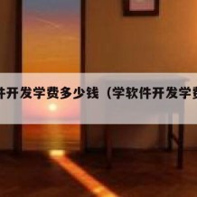 学软件开发学费多少钱（学软件开发学费多少钱）
