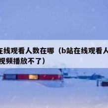 b站在线观看人数在哪（b站在线观看人数在哪里视频播放不了）