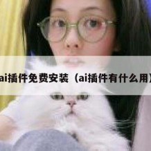 ai插件免费安装（ai插件有什么用）