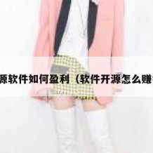 开源软件如何盈利（软件开源怎么赚钱）