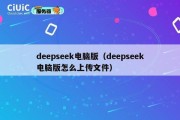 deepseek电脑版（deepseek电脑版怎么上传文件）