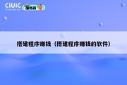 搭建程序赚钱（搭建程序赚钱的软件）