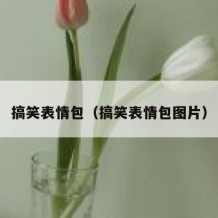 搞笑表情包（搞笑表情包图片）