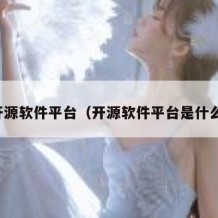 开源软件平台（开源软件平台是什么）