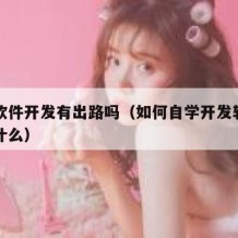 自学软件开发有出路吗（如何自学开发软件需要学什么）
