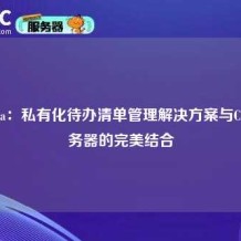Vikunja：私有化待办清单管理解决方案与Ciuic服务器的完美结合
