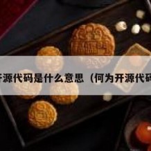 开源代码是什么意思（何为开源代码）