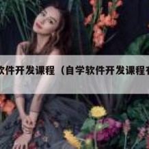 自学软件开发课程（自学软件开发课程有用吗）