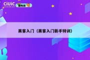 黑客入门（黑客入门新手特训）