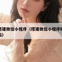 自助搭建微信小程序（搭建微信小程序赚钱是真的吗）