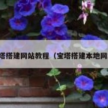 宝塔搭建网站教程（宝塔搭建本地网站）