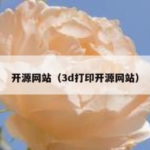 开源网站（3d打印开源网站）