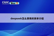 deepseek怎么使用的简单介绍