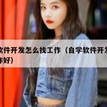 自学软件开发怎么找工作（自学软件开发怎么找工作好）