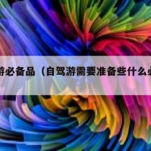 自驾游必备品（自驾游需要准备些什么必需品）