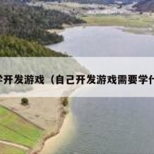 自学开发游戏（自己开发游戏需要学什么）