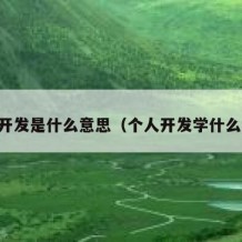 自学开发是什么意思（个人开发学什么语言）