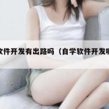 自学软件开发有出路吗（自学软件开发哪些书籍）