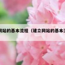 建立网站的基本流程（建立网站的基本流程图）
