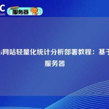 Umami网站轻量化统计分析部署教程：基于Ciuic服务器
