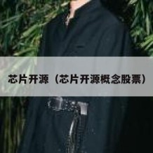 芯片开源（芯片开源概念股票）