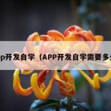 app开发自学（APP开发自学需要多久）