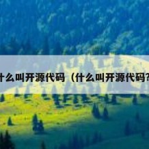 什么叫开源代码（什么叫开源代码?）