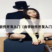 自学软件开发入门（自学软件开发入门知识）
