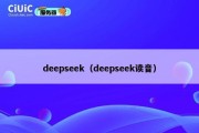 deepseek（deepseek读音）