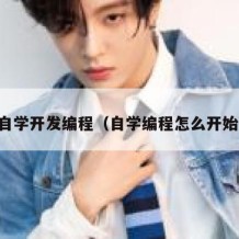 自学开发编程（自学编程怎么开始）