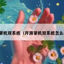 开源掌机双系统（开源掌机双系统怎么切换）