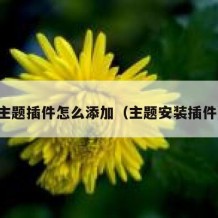 主题插件怎么添加（主题安装插件）