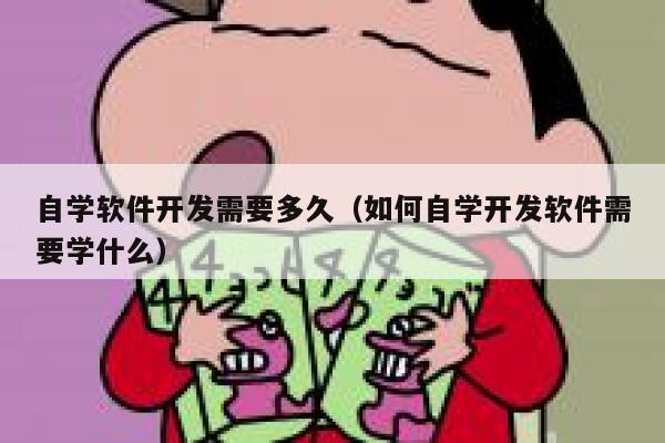 自学软件开发需要多久(如何自学开发软件需要学什么) 第1张 自学软件开发需要多久(如何自学开发软件需要学什么) 第1张