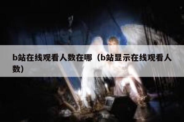 b站在线观看人数在哪(b站显示在线观看人数) 第1张 b站在线观看人数在哪(b站显示在线观看人数) 第1张