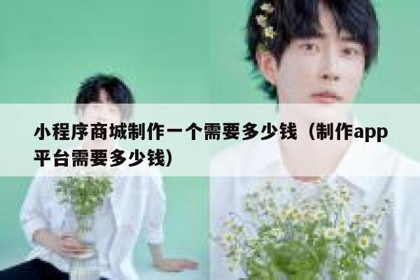小程序商城制作一个需要多少钱（制作app平台需要多少钱） 第1张