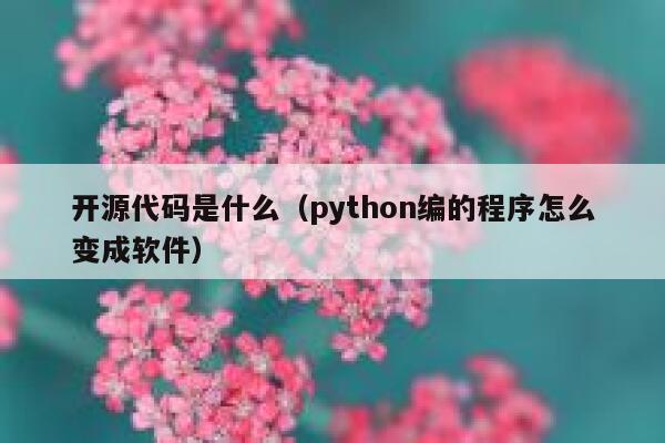 开源代码是什么（python编的程序怎么变成软件） 第1张