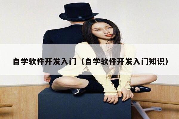 自学软件开发入门(自学软件开发入门知识) 第1张 自学软件开发入门(自学软件开发入门知识) 第1张