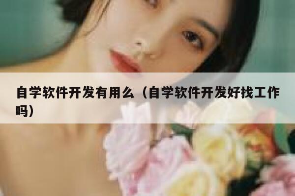 自学软件开发有用么(自学软件开发好找工作吗) 第1张 自学软件开发有用么(自学软件开发好找工作吗) 第1张