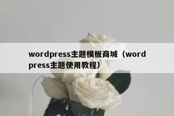 wordpress主题模板商城(wordpress主题使用教程) 第1张 wordpress主题模板商城(wordpress主题使用教程) 第1张